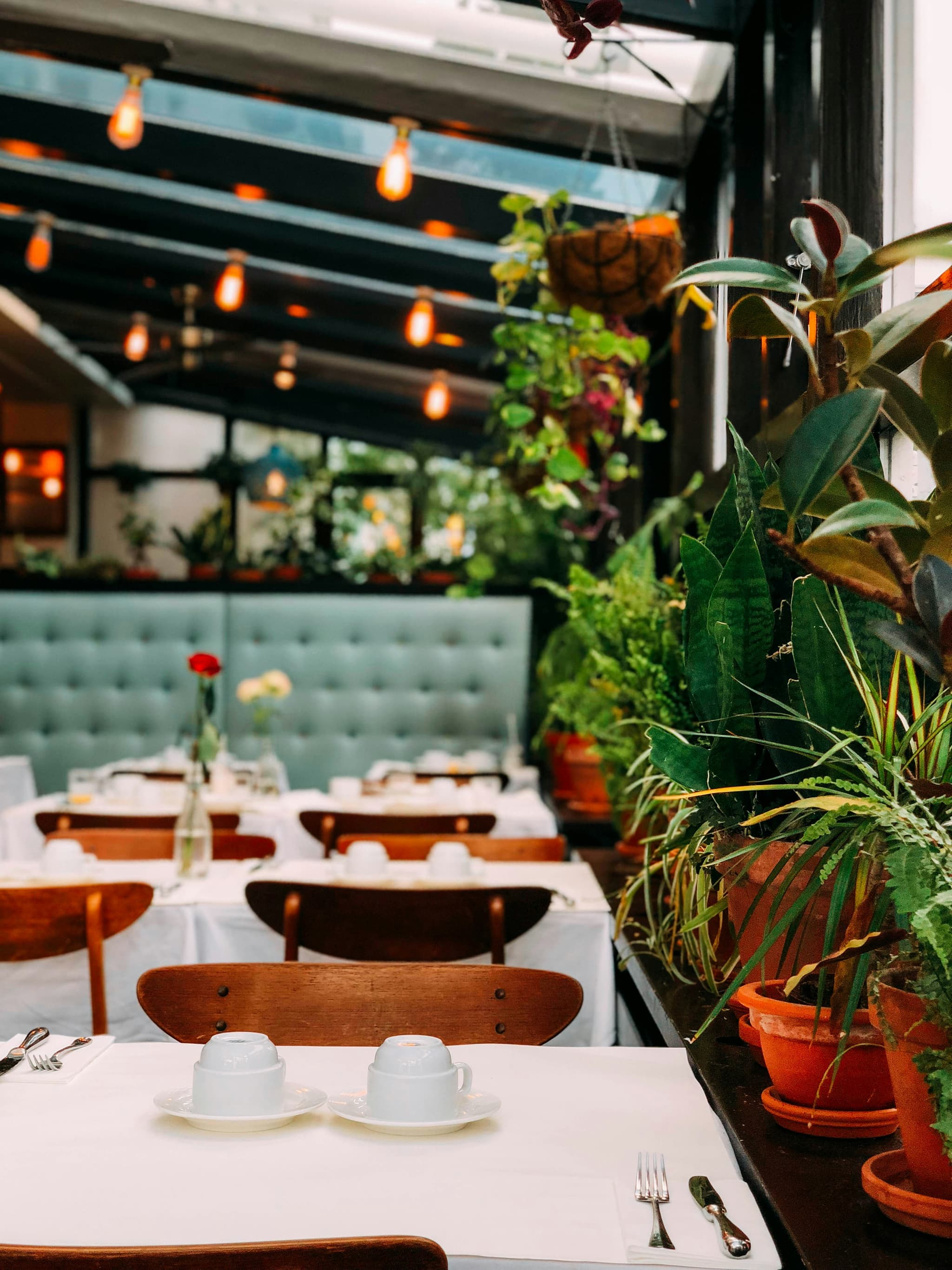 Botanisches Garten-Restaurant mit Pflanzen und Lichterketten — kleine Gastronomie die mit Festpreis statt Provision plant.
