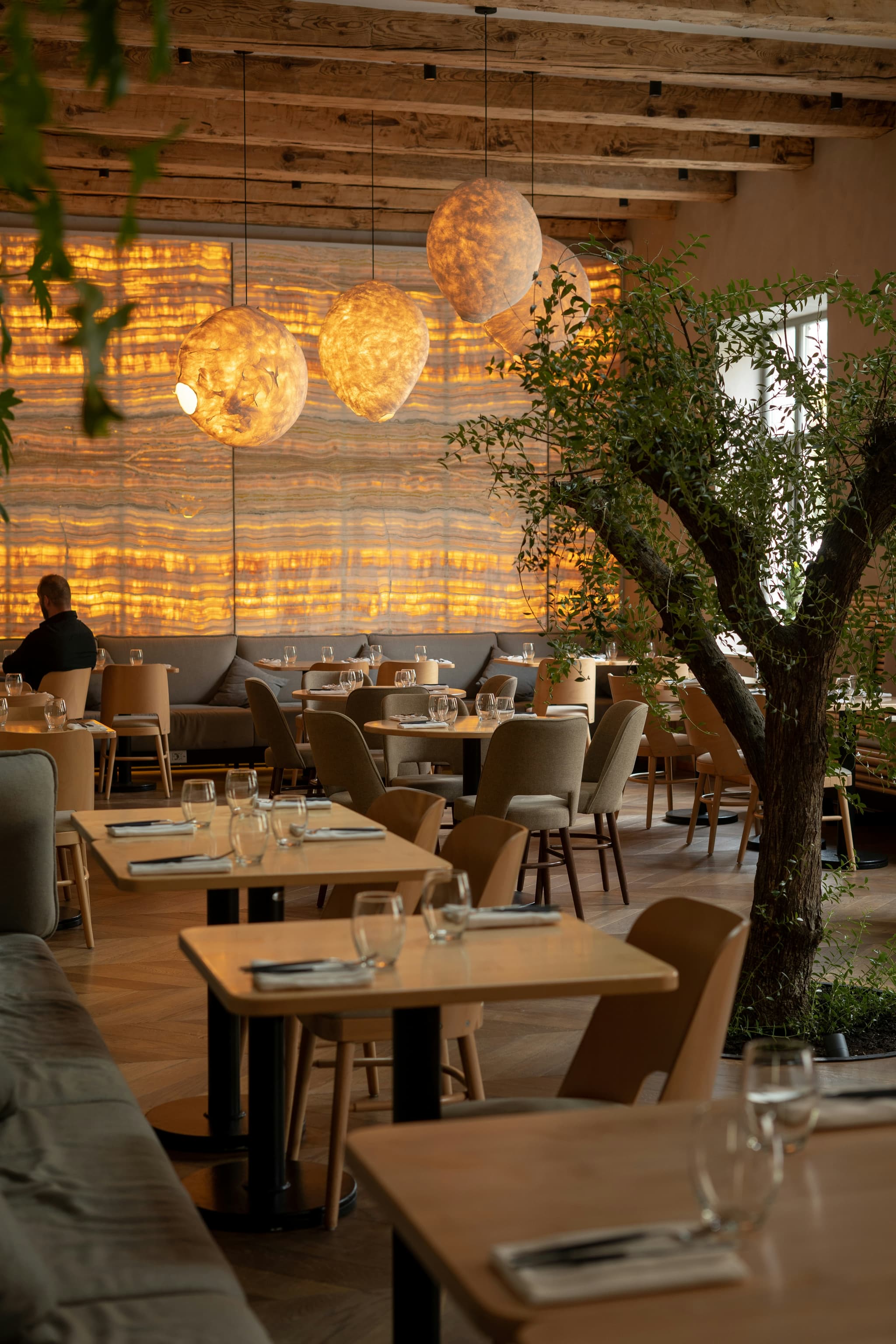 Warmes Restaurant-Interior mit Olivenbaum und Onyx-Wand — Atmosphäre die Tavolo Restaurants hilft auf der eigenen Website zu vermitteln.